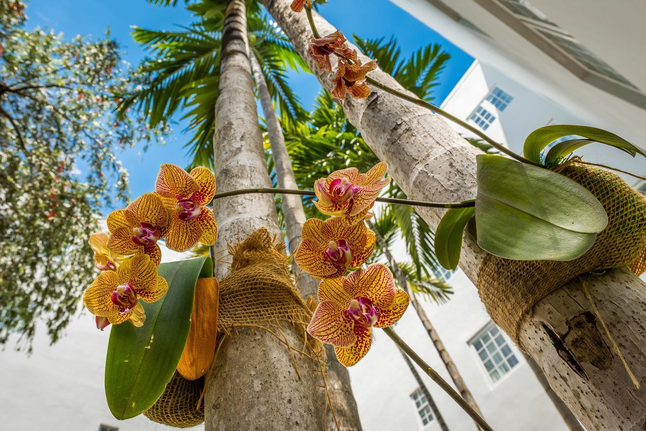 Hotel Belleza Miami Beach Luaran gambar