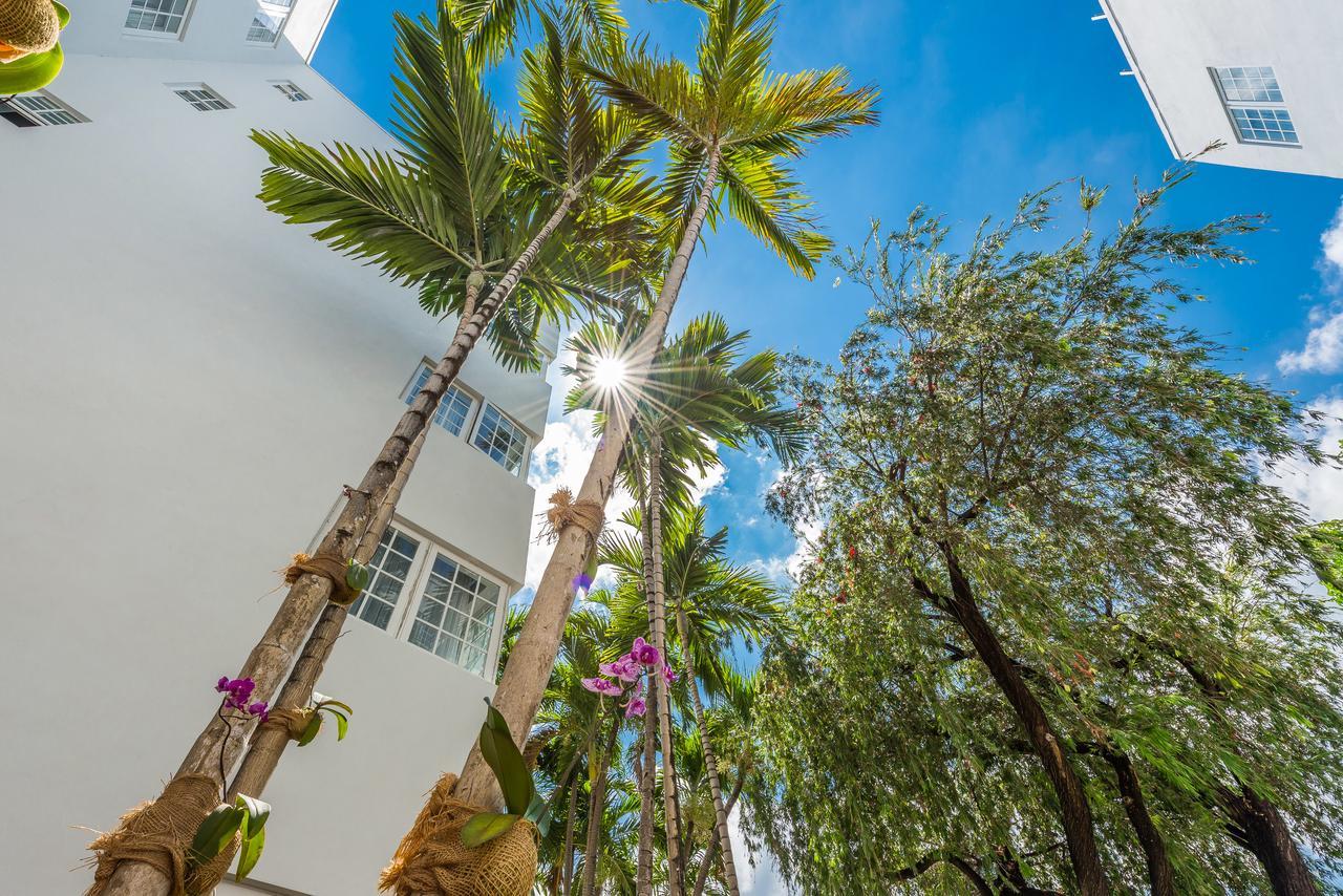 Hotel Belleza Miami Beach Luaran gambar